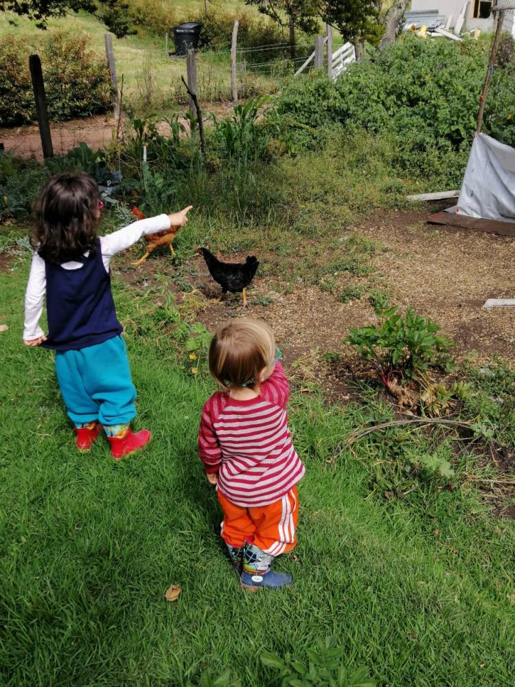 WhatsApp Image 2020-02-04 at 11.22.27 AM (1)