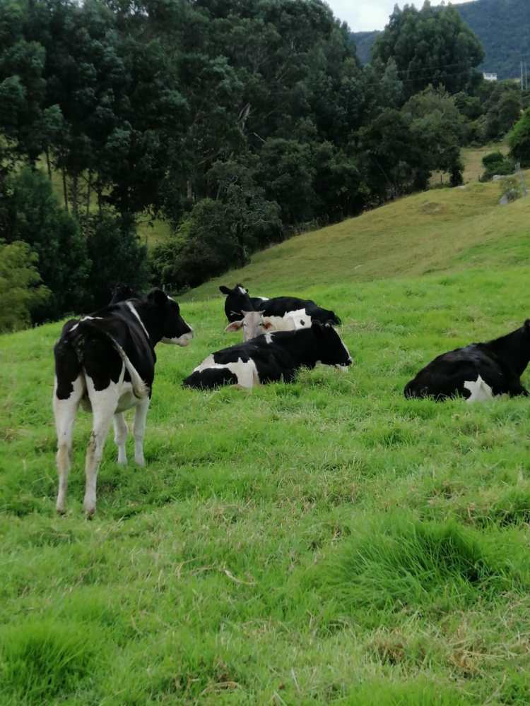 WhatsApp Image 2020-02-04 at 11.22.27 AM