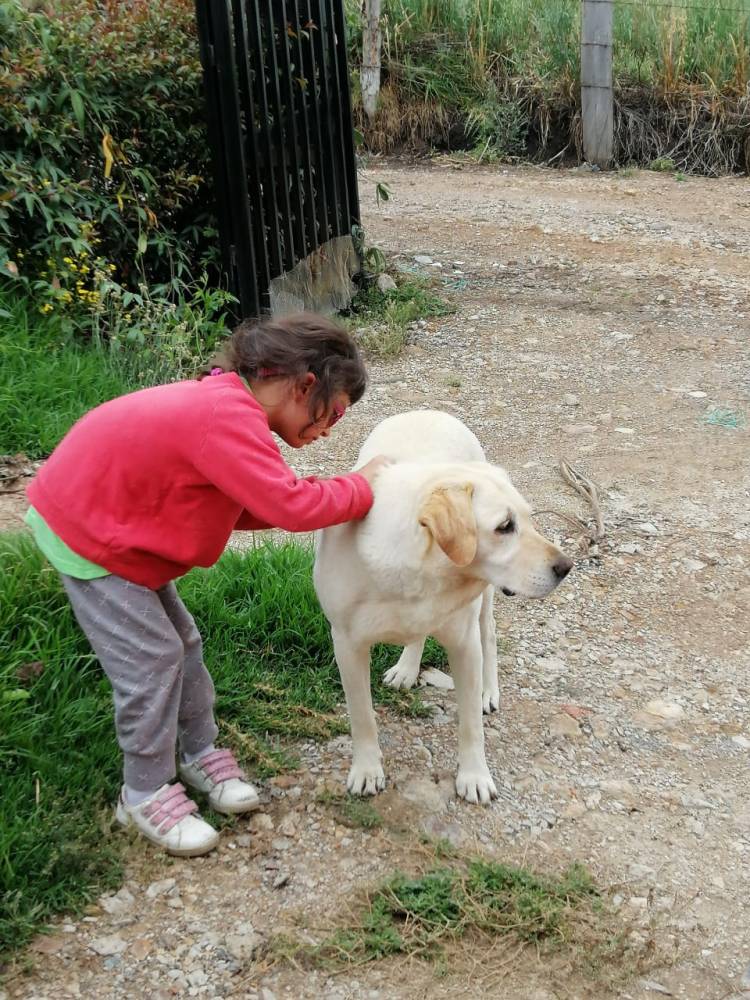 WhatsApp Image 2020-02-24 at 2.10.42 PM (1)