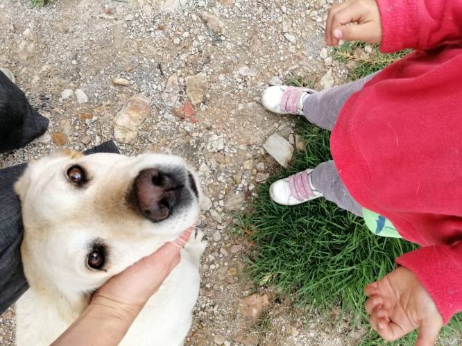 WhatsApp Image 2020-02-24 at 2.10.42 PM